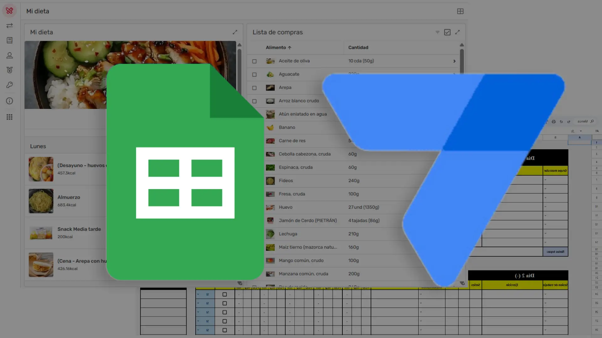 Screenshot of Training and Nutrition Application and Automation